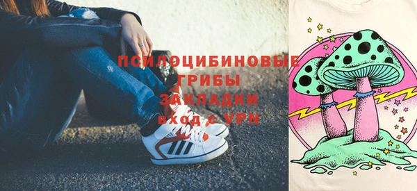 не бодяженный Няндома