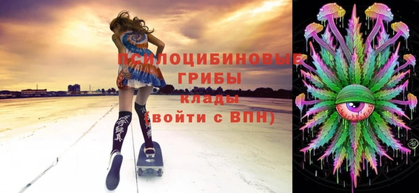 не бодяженный Няндома