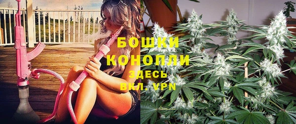 стафф Елизово