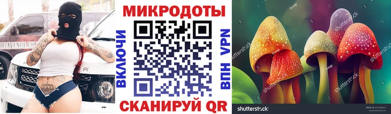 Галлюциногенные грибы MAGIC MUSHROOMS  кракен сайт  Суоярви 